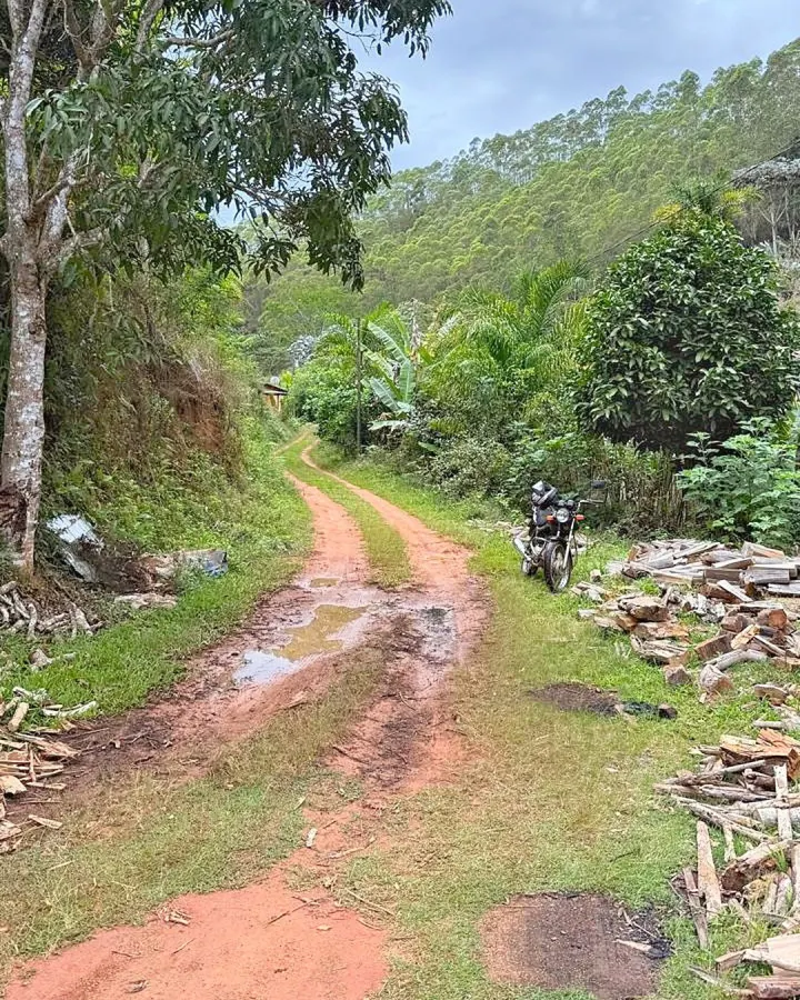 Sítio de 20.000 m² com casa, nascente e peixes — foto 7