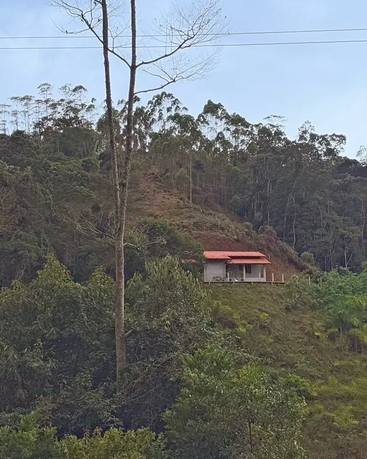 Sítio de 20.000 m² com casa, nascente e peixes — foto 2